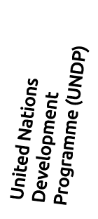 United Nations Development Programme (undp)